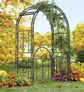 Arch Metal Outdoor Garden Arbor